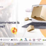 WHY E-COMMERCE IS THE FUTURE?